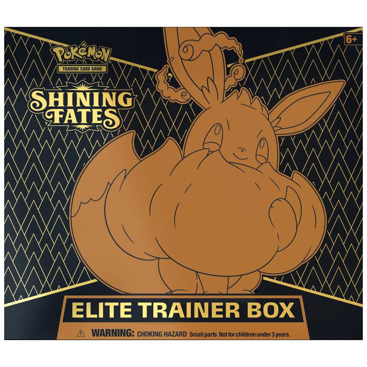 Pokémon TCG – Shining Fates Elite Trainer Box
